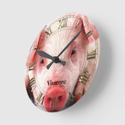 Varkens Professional Ronde Klok (Hoek)