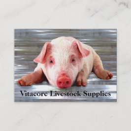 Varkens Professional Visitekaartje