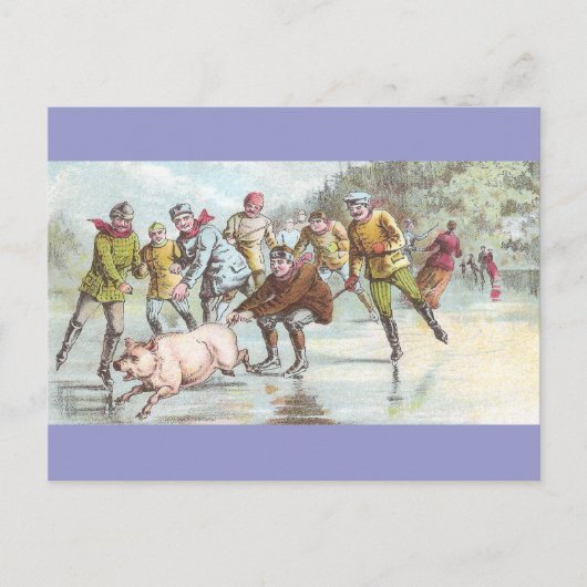 Varkens pulls isatoom over de gehele breedte briefkaart (Voorkant)