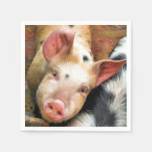 VARKENS SERVETTEN (Voorkant)