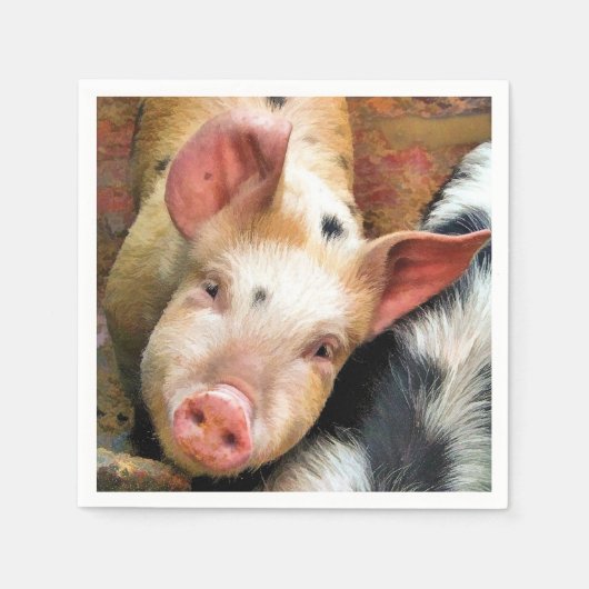 VARKENS SERVETTEN (Voorkant)