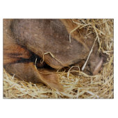 VARKENS SNIJPLANK (Voorkant)