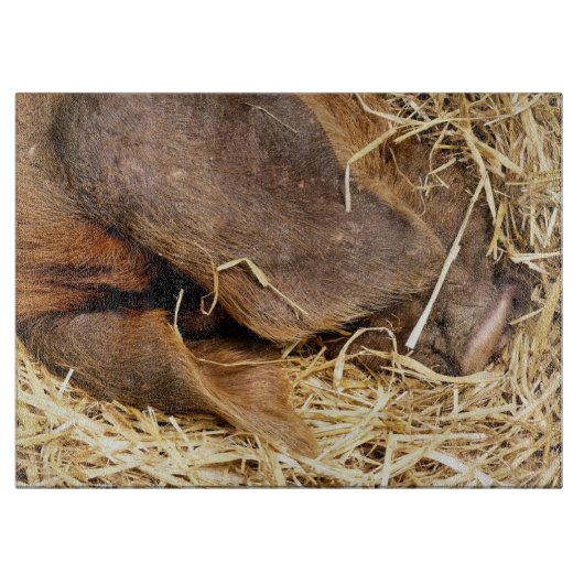 VARKENS SNIJPLANK (Voorkant)