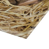 VARKENS SNIJPLANK (Hoek)