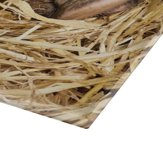 VARKENS SNIJPLANK (Hoek)