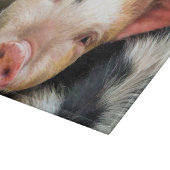 VARKENS SNIJPLANK (Hoek)