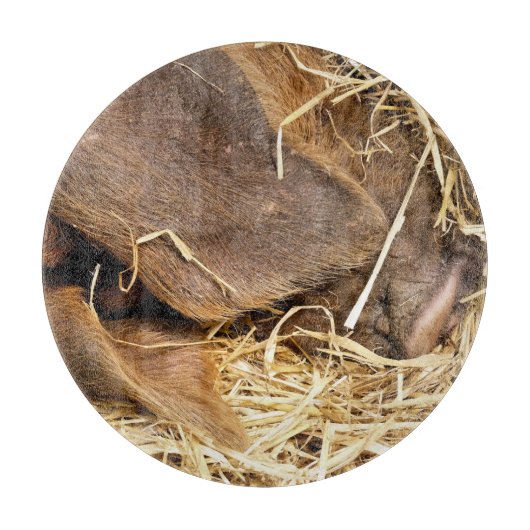 VARKENS SNIJPLANK (Voorkant)