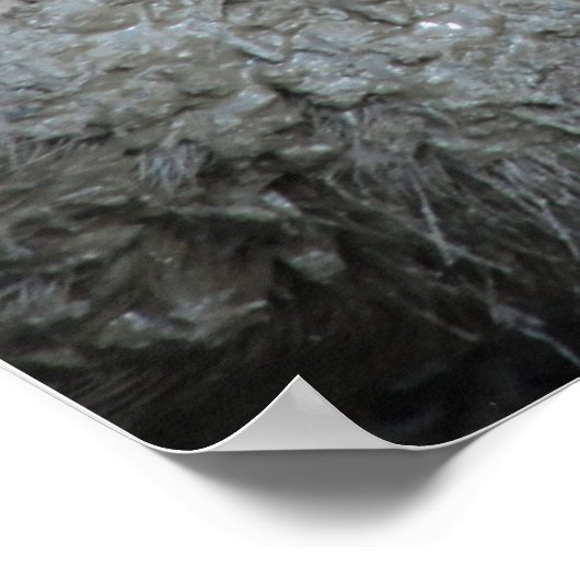  varkens "Spa" Mud Facial & Mud Bath Poster (Hoek)