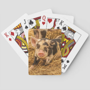 Varkens Speelkaarten