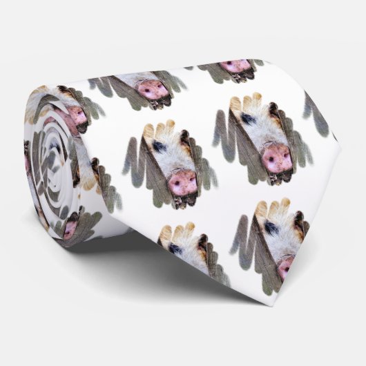 VARKENS STROPDAS (Opgerold)