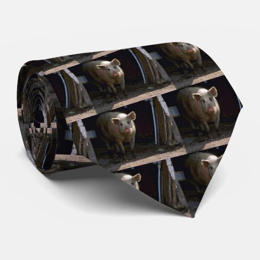 Varkens Stropdas (Opgerold)