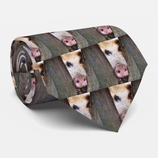 VARKENS STROPDAS (Opgerold)