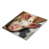 VARKENS TEGELTJE (Zijkant)