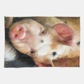 VARKENS THEEDOEK (Horizontaal)