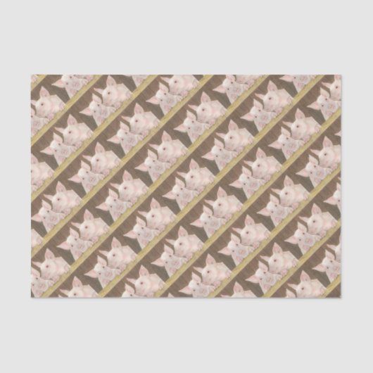 Varkens Tissuepapier (Voorkant)