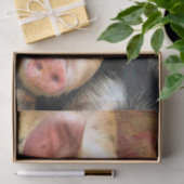 VARKENS TISSUEPAPIER (Geschenk)