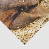 VARKENS TISSUEPAPIER (Detail)