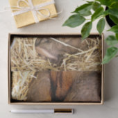 VARKENS TISSUEPAPIER (Geschenk)