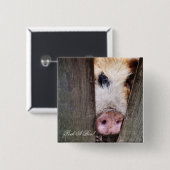 VARKENS VIERKANTE BUTTON 5,1 CM (Voorkant /achterkant)