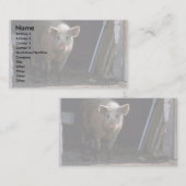 Varkens Visitekaartje (Voorkant / Achterkant)