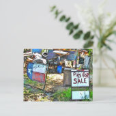 Varkens voor verkoop in Dale, TX Briefkaart (Staand voorkant)