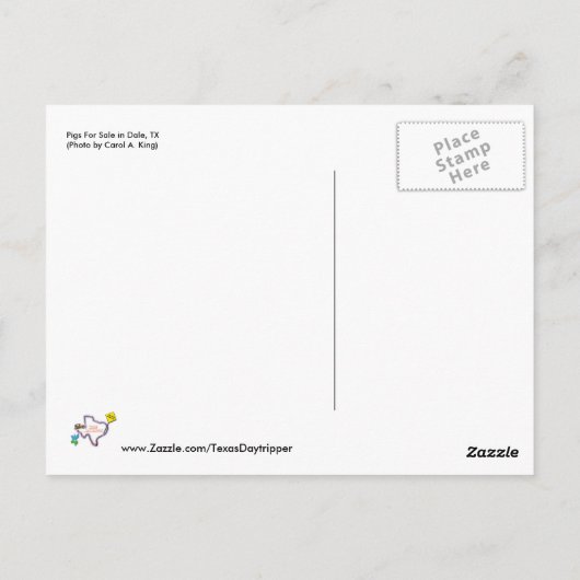 Varkens voor verkoop in Dale, TX Briefkaart (Achterkant)