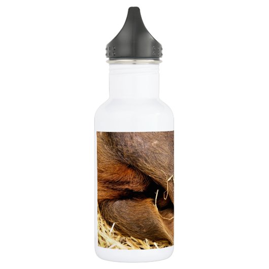 VARKENS WATERFLES (Links)