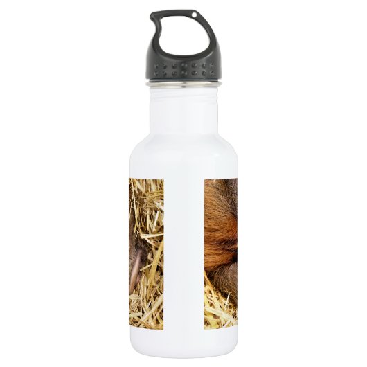 VARKENS WATERFLES  (Achterkant)