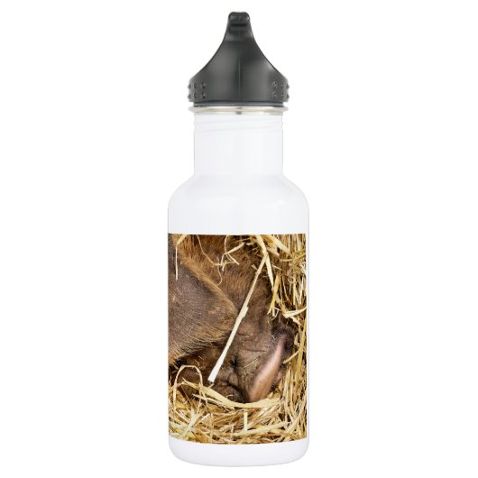 VARKENS WATERFLES  (Rechts)