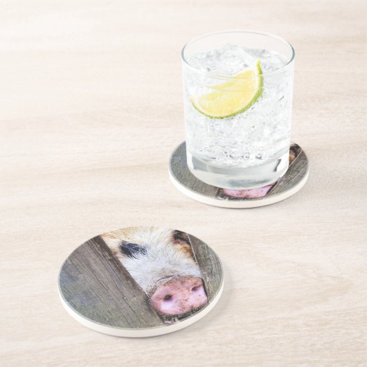 VARKENS ZANDSTEEN ONDERZETTER (Zijkant)