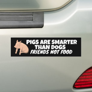 VARKENS ZIJN SLIMMER DAN HONDEN, VRIENDEN NIET ETE BUMPERSTICKER