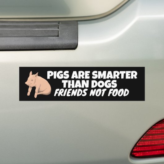 VARKENS ZIJN SLIMMER DAN HONDEN, VRIENDEN NIET ETE BUMPERSTICKER (Op auto)