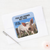 VARKENS ZIJN VRIENDEN DIE GEEN VOEDSEL ZIJN - VEGA VIERKANTE STICKER (Envelop)