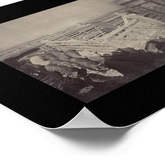 Varkensbewerking Foto 1900 Poster (Hoek)