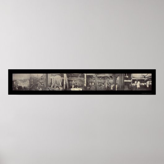 Varkensbewerking Foto 1900 Poster (Voorkant)