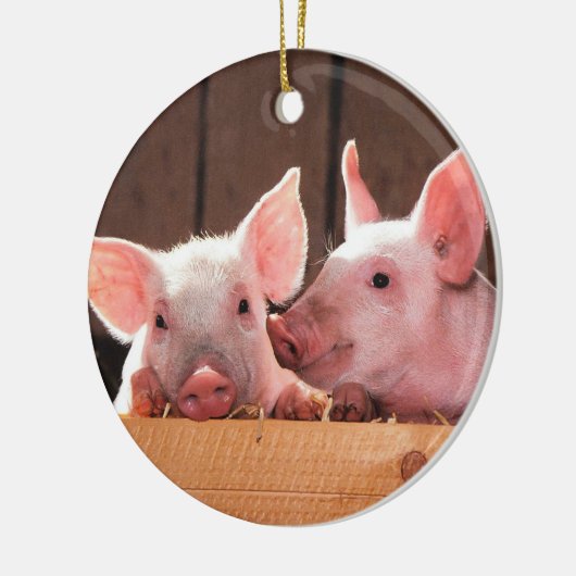 Varkensbiggen Boerderij Keramisch Ornament (Links)