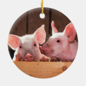 Varkensbiggen Boerderij Keramisch Ornament (Achterkant)