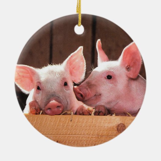 Varkensbiggen Boerderij Keramisch Ornament (Achterkant)
