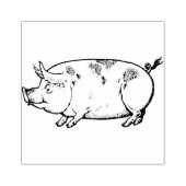 Varkensboerderijdieren  illustratie rubberstempel (Afrduk)