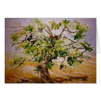 Varkensboom