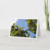 Varkensboom, Blauwe hemelpoort Kaart (Voorkant)