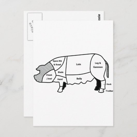Varkensdiagram Briefkaart (Voorkant / Achterkant)