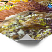 Varkenshaai over koraalrif poster (Hoek)