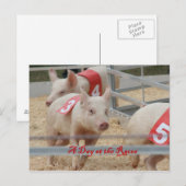 Varkenshaar, rasfoto's voor varkens, roze varken briefkaart (Voorkant / Achterkant)