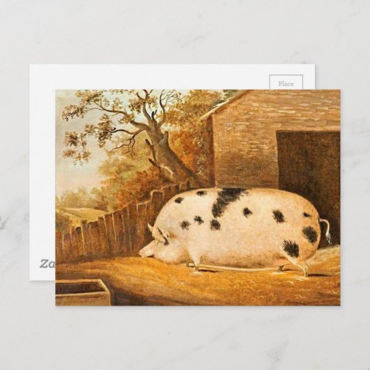 Varkenshond  Boerderij Art Painting Briefkaart (Voorkant / Achterkant)