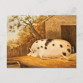 Varkenshond Boerderij Art Painting Briefkaart