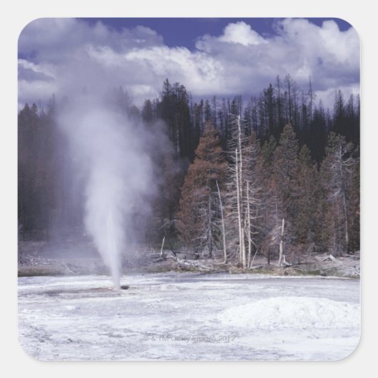 Varkenskotelet Geyser, Yellowstone National Park Vierkante Sticker (Voorkant)