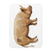 Varkensmagneet Magneet (Verticaal)