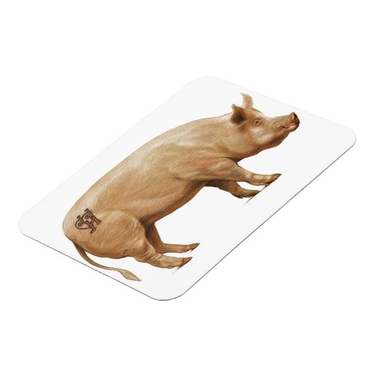 Varkensmagneet Magneet (Linkerzijde)