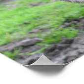 Varkenspaat Poster (Hoek)